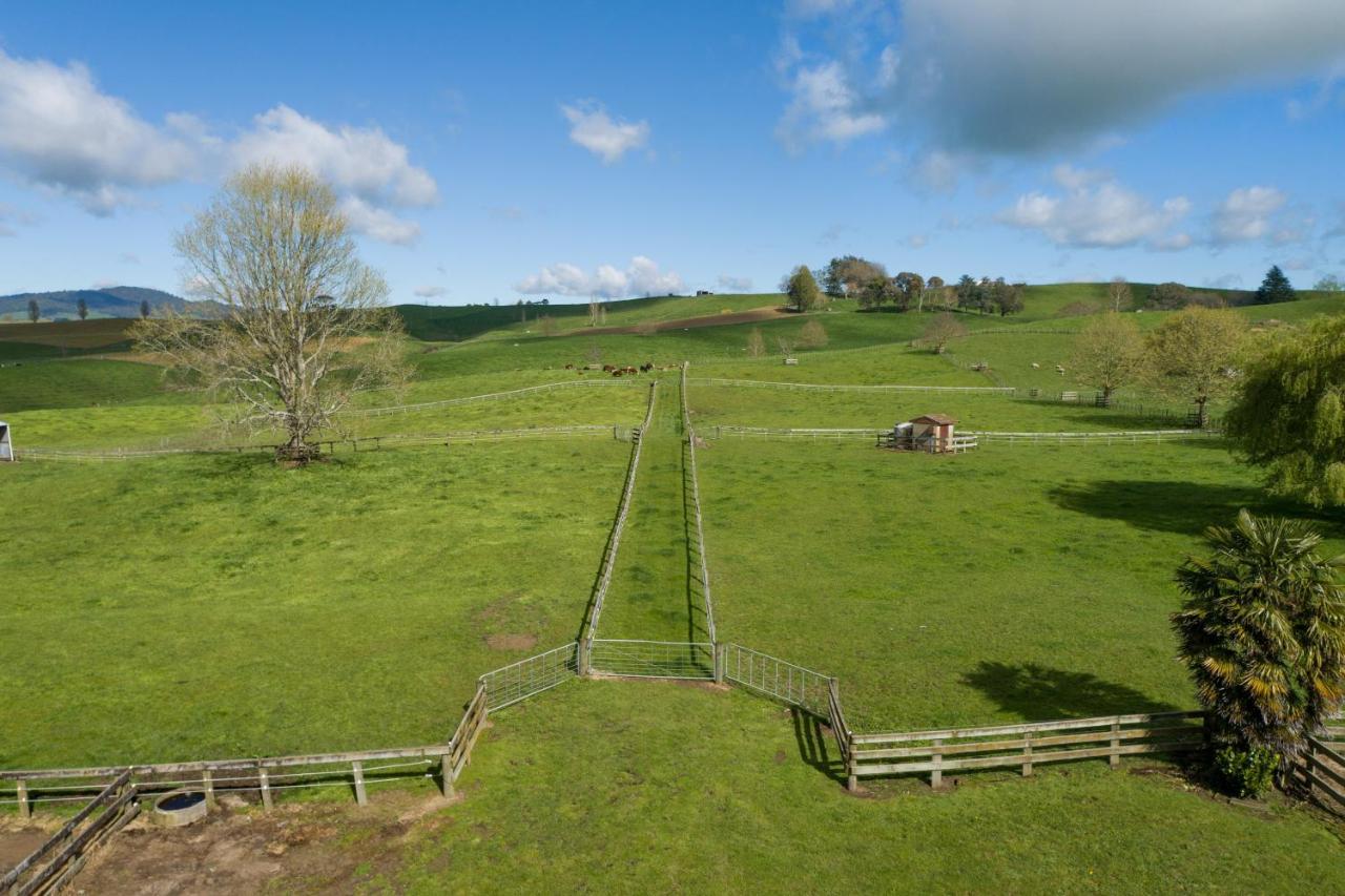 Matamata Lodge Luaran gambar